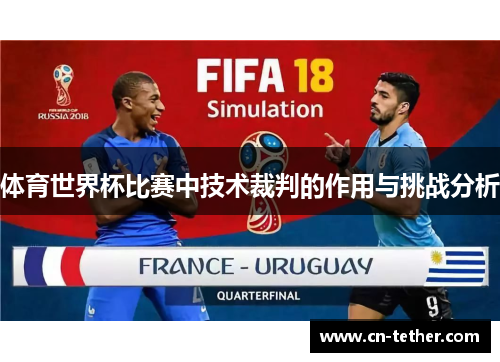 体育世界杯比赛中技术裁判的作用与挑战分析