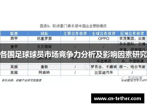 各国足球球员市场竞争力分析及影响因素研究 各国足球球员市场竞争力分析及影响因素研究