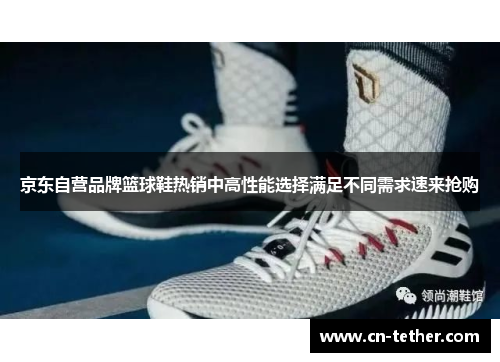 京东自营品牌篮球鞋热销中高性能选择满足不同需求速来抢购 京东自营品牌篮球鞋热销中高性能选择满足不同需求速来抢购